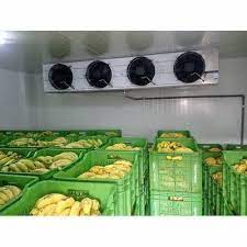 بیمه مهندسی فساد کالا در سردخانه ‏(D.O.S)‏ (شرکت بیمه‌رابین)