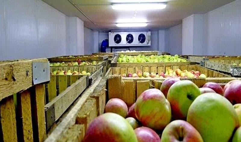 بیمه مهندسی فساد کالا در سردخانه ‏(D.O.S)‏ (شرکت بیمه‌رابین)